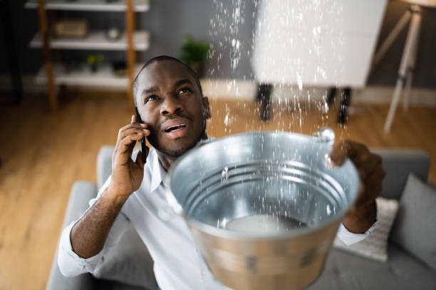 Best Flooded house restoration  in Jeffersonville, OH