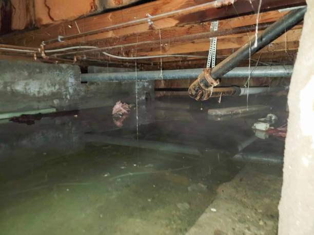 Best Water damage restoration near me  in Jeffersonville, OH