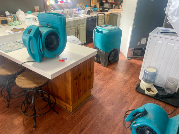 Best Local water damage restoration  in Jeffersonville, OH