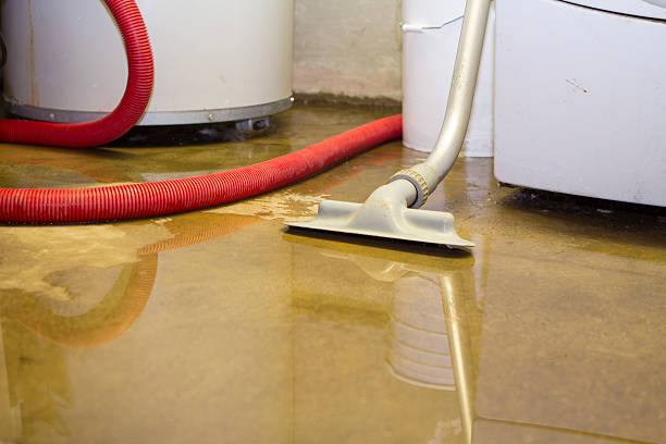 Best Mold removal after water damage  in Jeffersonville, OH