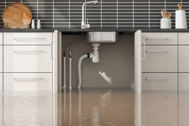 Best Professional water damage repair  in Jeffersonville, OH